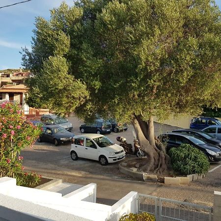 B&B Unique Art Santa Teresa Gallura Exterior foto